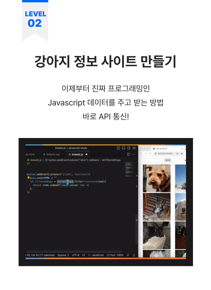 강아지 정보 사이트 만들기