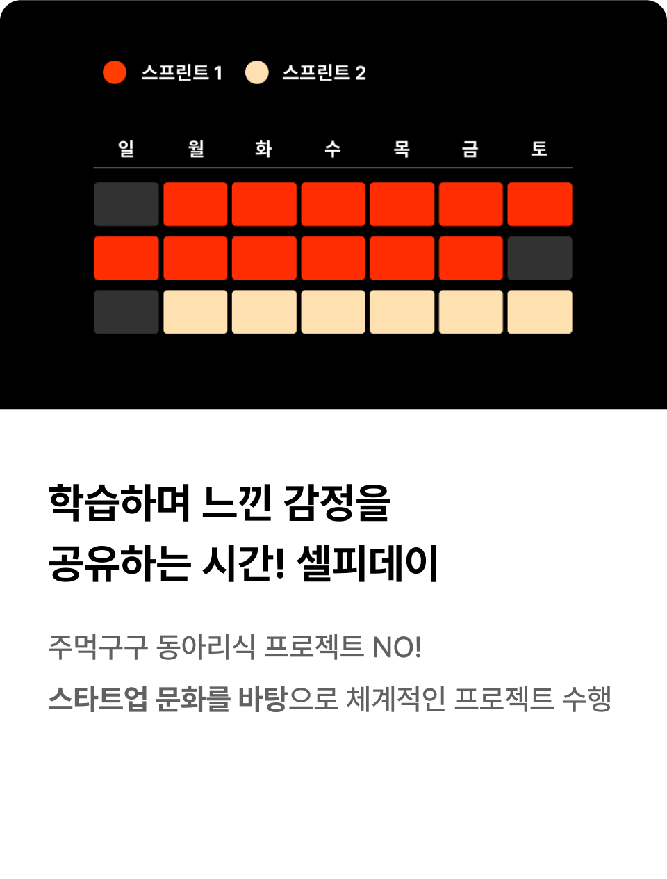 학습하며 느낀 감정을 공유하는 시간! 셀피데이