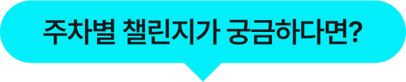 주차별 챌린지