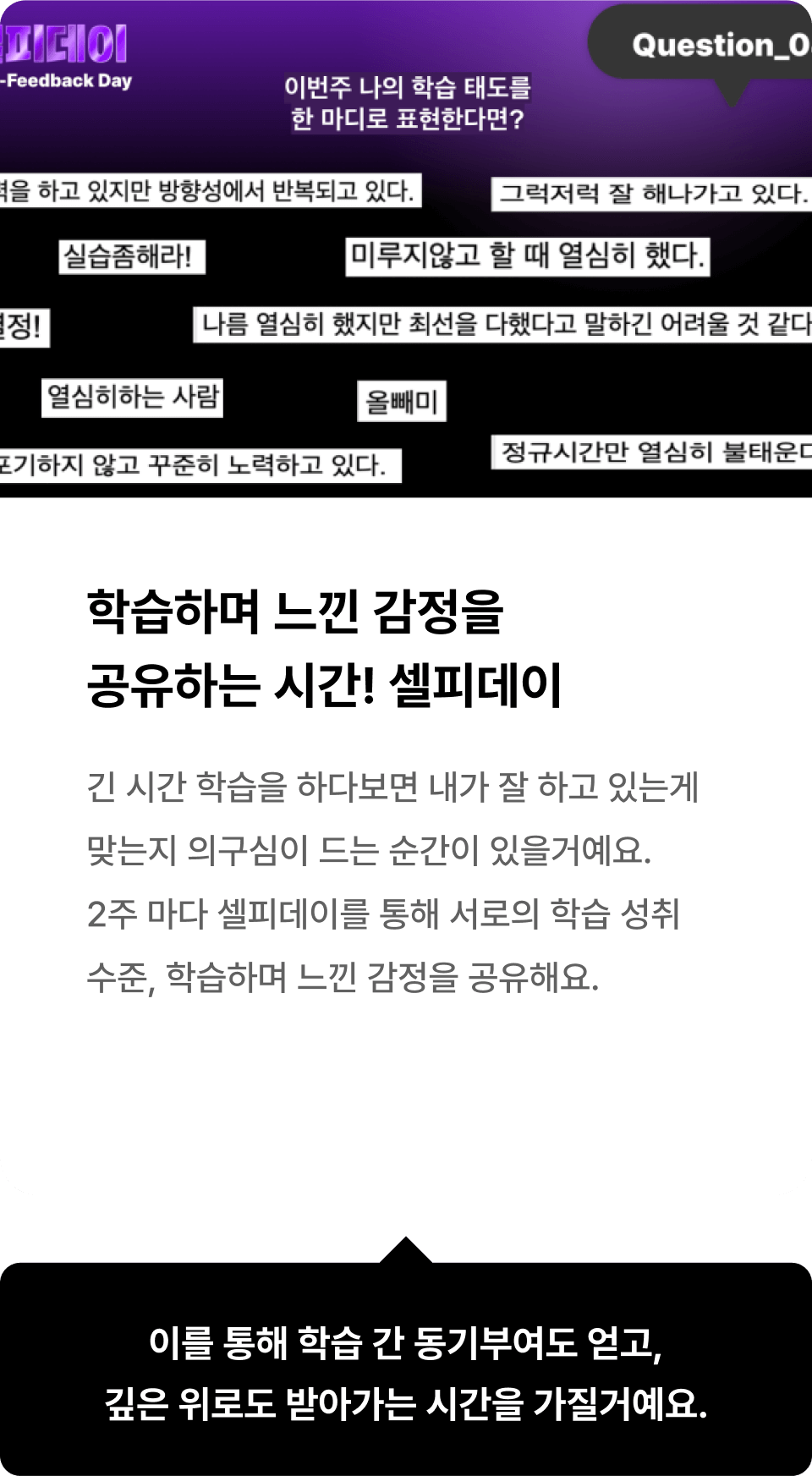 학습하며 느낀 감정을 공유하는 시간! 셀피데이