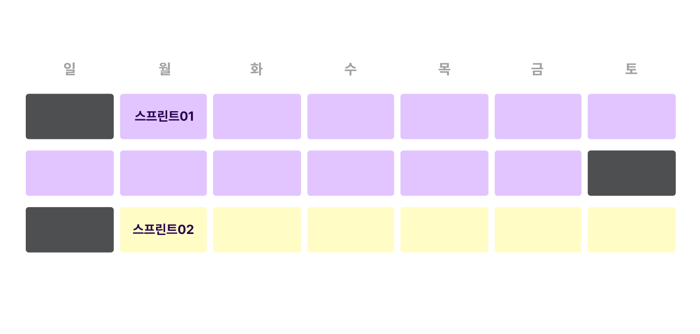 체계적인 프로젝트